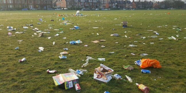 Litter-976×488